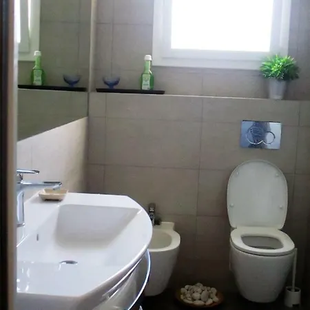 Cattleya - Rue Halevy *