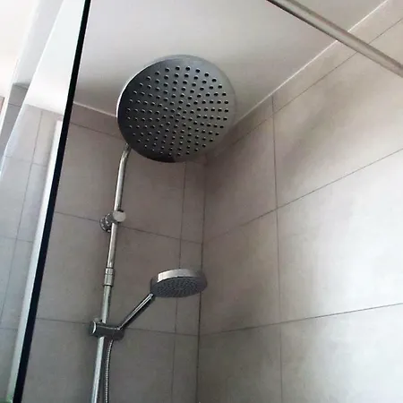 Cattleya - Rue Halevy Niza